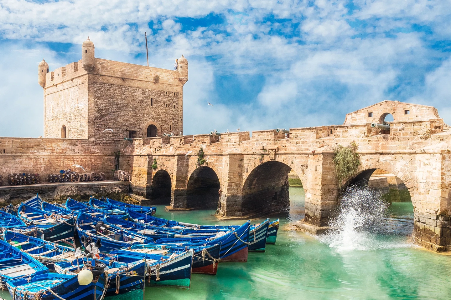 Essaouira Day Trip from Marrakech - Marrakech Magic Trips